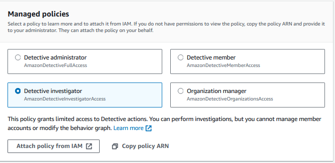 Detective IAM policies