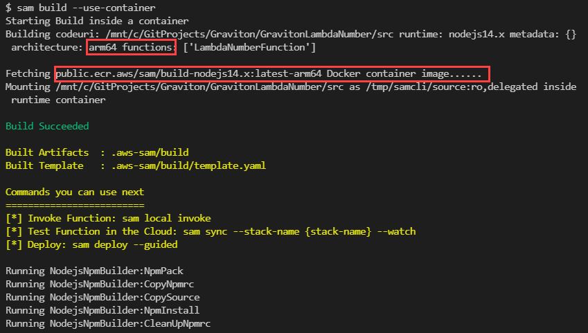 sam build –use-container